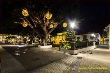 Telde exhibe la Navidad más deslumbrante de los últimos años (Foto Ildefonso Rodríguez)